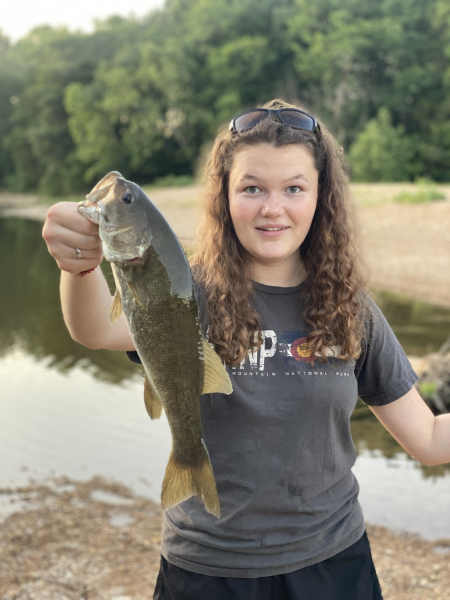 Rachelhugefish